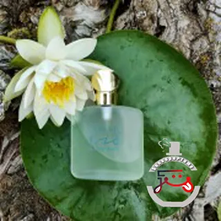 Acqua di Gio Giorgio Armani