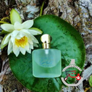 Acqua di Gio Giorgio Armani