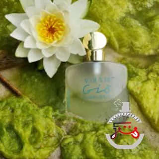 Acqua di Gio Giorgio Armani
