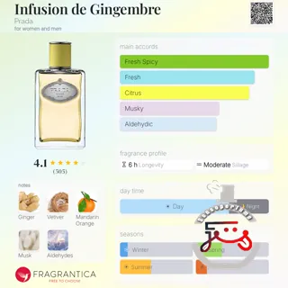 Infusion de Gingembre Prada