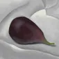 fluffyigloo