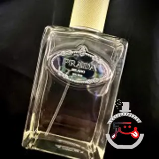 Infusion de Gingembre Prada