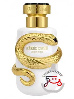 سرپنتاین ۲۰۲۵ روبرتو کاوالی | serpentine 2025 roberto cavalli