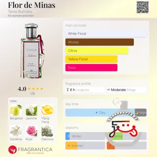 Flor de Minas Tania Bulhões