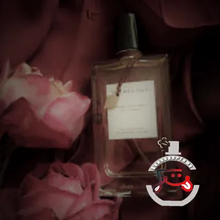 Rose Velours Van Cleef & Arpels