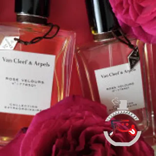 Rose Velours Van Cleef & Arpels