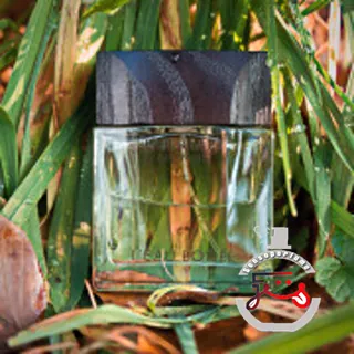 Guerlain Homme L'Eau Boisée Guerlain