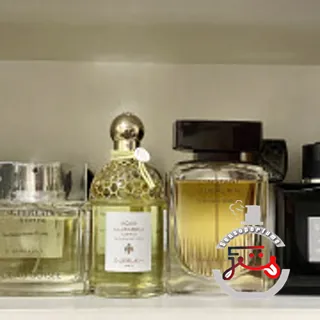 Guerlain Homme L'Eau Boisée Guerlain