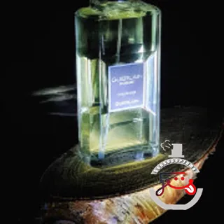 Guerlain Homme L'Eau Boisée Guerlain