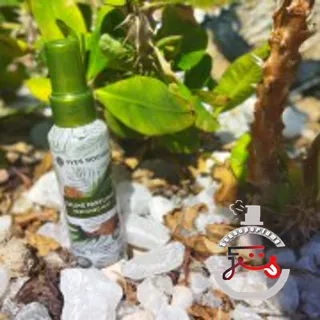 Noix de Coco Yves Rocher