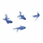 thebluefish