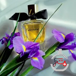 Cabochard Eau de Toilette 2019 Grès
