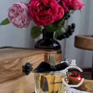 Cabochard Eau de Toilette 2019 Grès