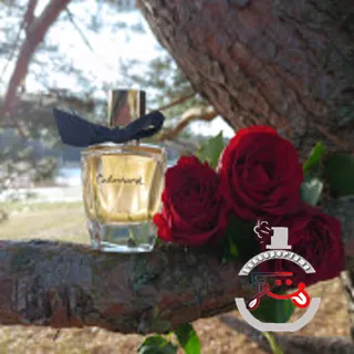 Cabochard Eau de Toilette 2019 Grès