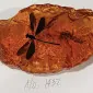 amberflash