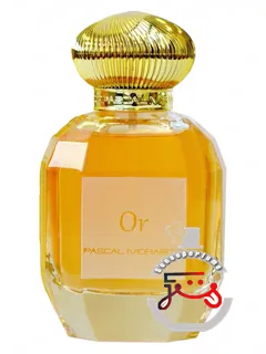 سلطان یا پاسکال مورابیتو | sultan or pascal morabito