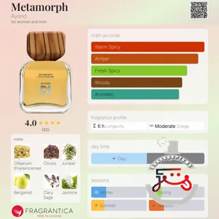 Metamorph Ayond