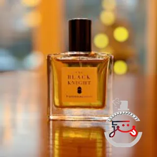 The Black Knight Francesca Bianchi