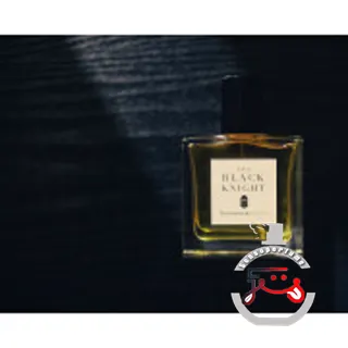 The Black Knight Francesca Bianchi