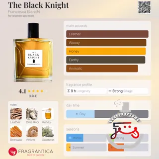 The Black Knight Francesca Bianchi