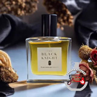 The Black Knight Francesca Bianchi