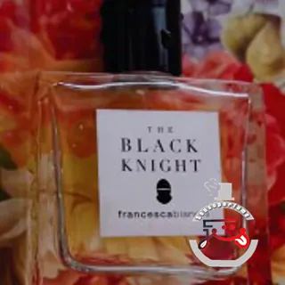 The Black Knight Francesca Bianchi