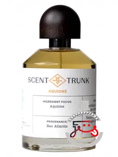 آکیون اسنت ترانک | aquione scent trunk