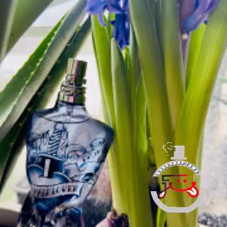 Le Male Lover Jean Paul Gaultier