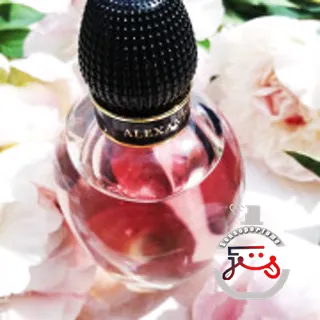 McQueen Eau de Parfum Alexander McQueen