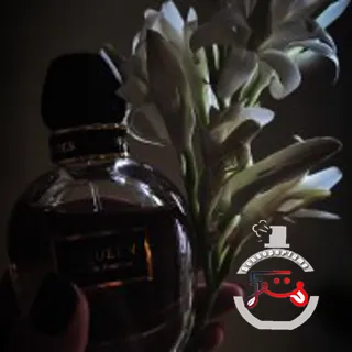 McQueen Eau de Parfum Alexander McQueen