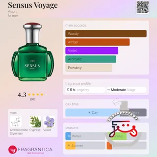 Sensus Voyage Avon