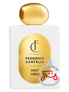 مینت وایبز فدریکو کانتلی اکسکلوسیو کلکشن | mint vibes federico cantelli exclusive collection