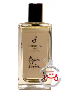 آلگی‌ان سوئنیا فوئگیا ۱۸۳۳ | alguien sueña fueguia 1833