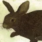 cultrabbit
