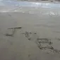 EWinGVL