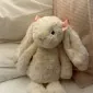 petiteporcine