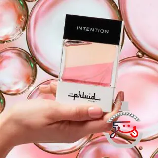 Intention The Phluid Project