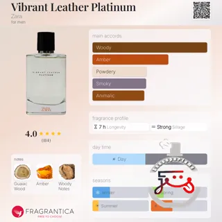Vibrant Leather Platinum Zara