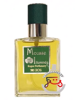 موس ایلومینه روژ پرفیومری | mousse illuminee rogue perfumery