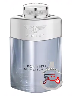 بنتلی فور من سیلورلیک بنتلی | bentley for men silverlake bentley