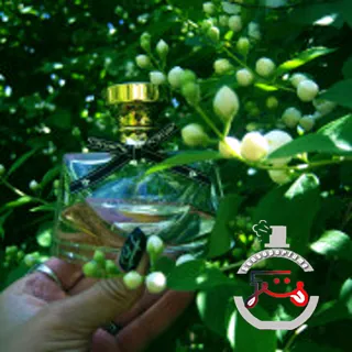 Mon Jasmin Noir Bvlgari