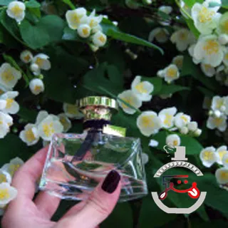 Mon Jasmin Noir Bvlgari
