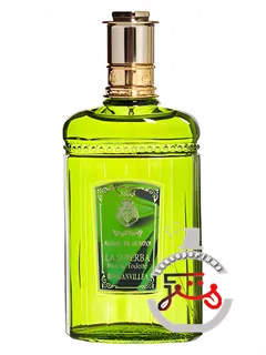 بوگنویل آکوا دی جنوا | bougainvellea acqua di genova
