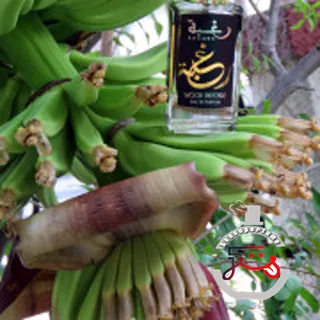 Raghba Wood Intense Lattafa Perfumes