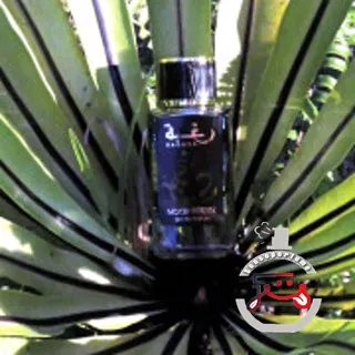 Raghba Wood Intense Lattafa Perfumes