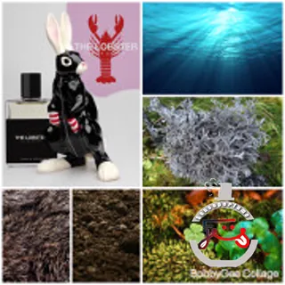 The Lobster Moth and Rabbit Perfumes