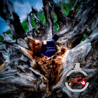 02 L'Air du Desert Marocain Tauer Perfumes