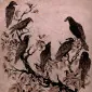 corvid.joys