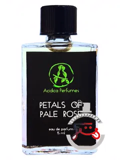 پتالز آو پیل روز آسیدیکا پرفیومز | petals of pale rose acidica perfumes