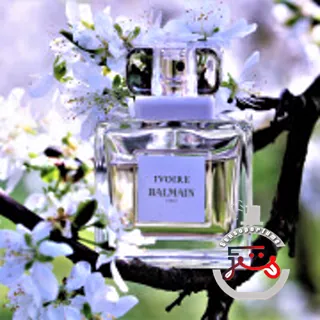 Ivoire Pierre Balmain